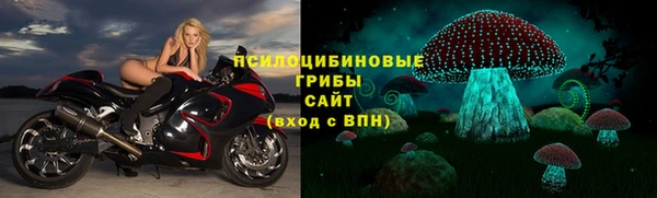 СК Нефтегорск